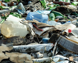 World Environment Day 2025: Let’s make consumption more sustainable