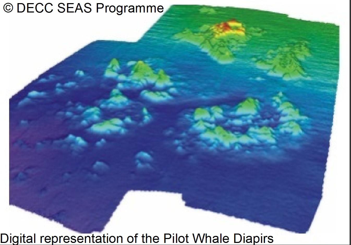 12. Digital representation of the Pilot Whale Diapirs at North-east Faroe-Shetland Channel Nature Conservation MPA. Image provided by DECC SEA Programme.