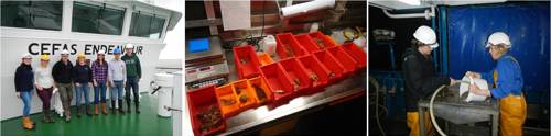 From left to right: JNCC and Cefas survey scientists onboard the Cefas Endeavour; species sample processing; sediment grab sample processing. All images © JNCC 2016.