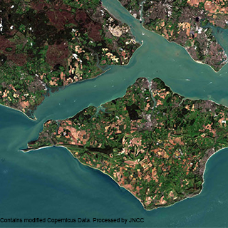 RM-IsleofWight©Contains-modified-CopernicusData-Processedby-JNCC.jpg