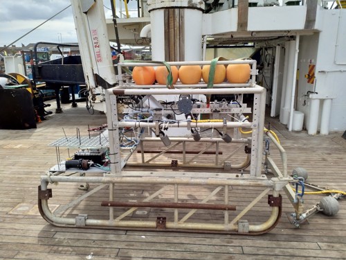 Sledge mounted camera