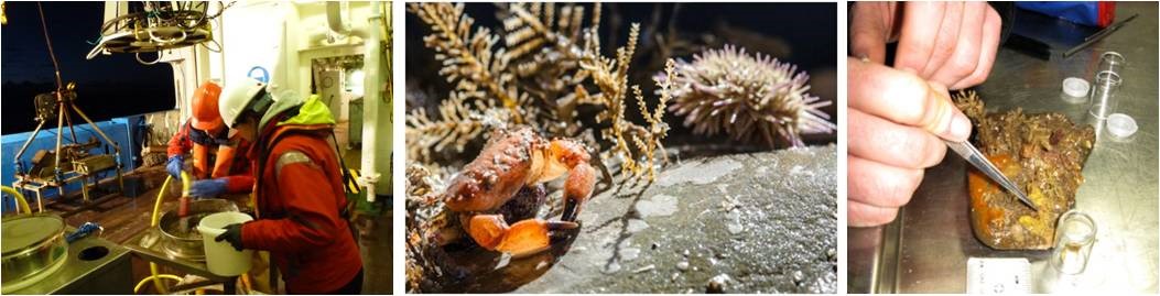 Three images aligned horizontally.