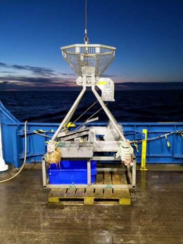 Photograph of hamon grab.