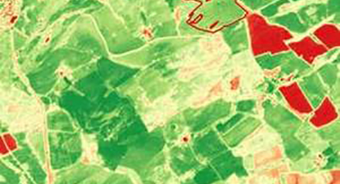 Normalised Difference Vegetation Index image calculated from Sentinel-2 imagery for a Scottish Lowlands region. Green indicates healthier vegetation. A Normalised Difference Vegetation Index image calculated from Sentinel-2 imagery of an area in the Scottish lowlands. Most of the image shows green patches, which indicate healthy vegetation. Some yellow, orange and red patches are also shown.