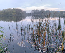 Wetland, lake surround by trees and grasses © J Thompson