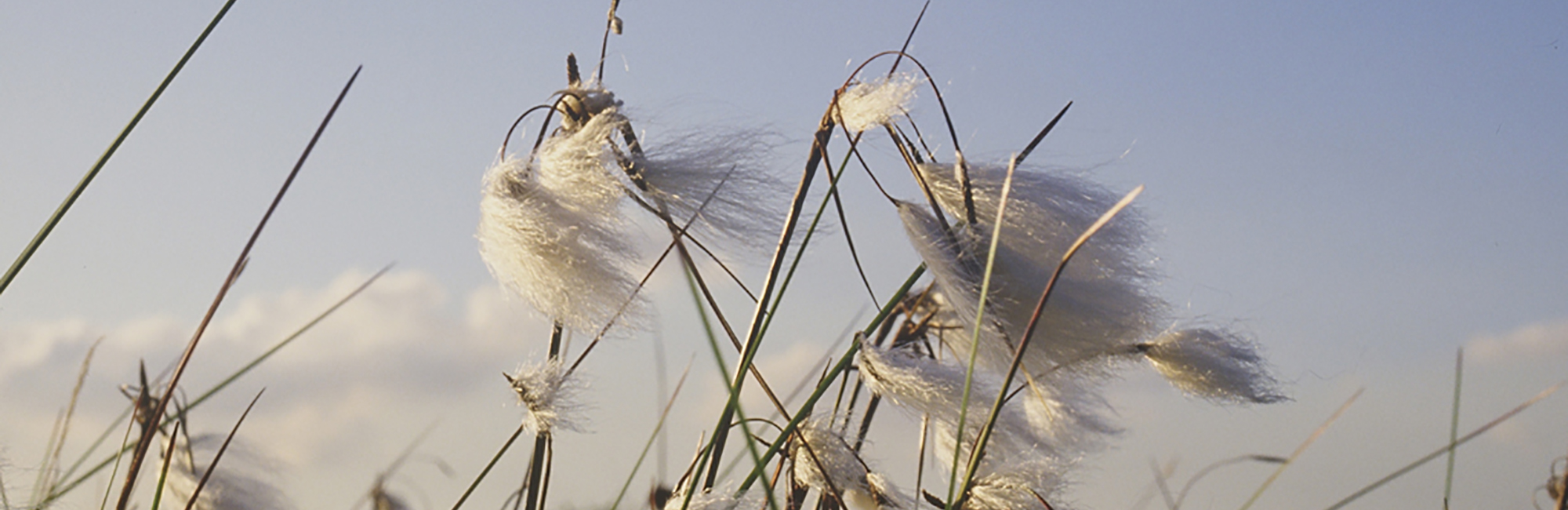 Our communications during the pre-election period