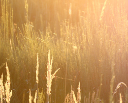 New JNCC Chair appointed