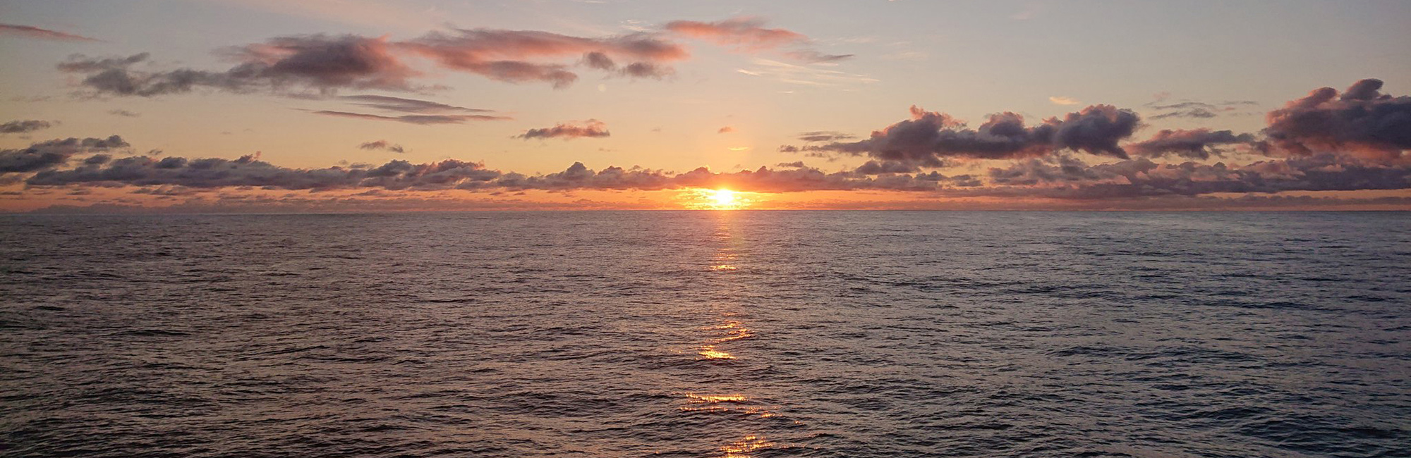 Celebrating our global ocean