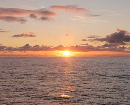 Celebrating our global ocean