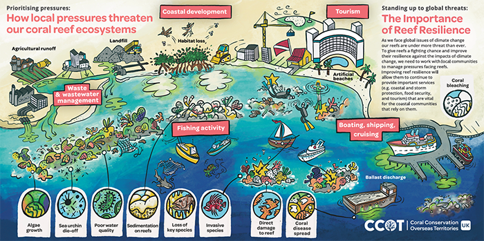 Infographic featuring various pressures threatening coral reefs ©JNCC