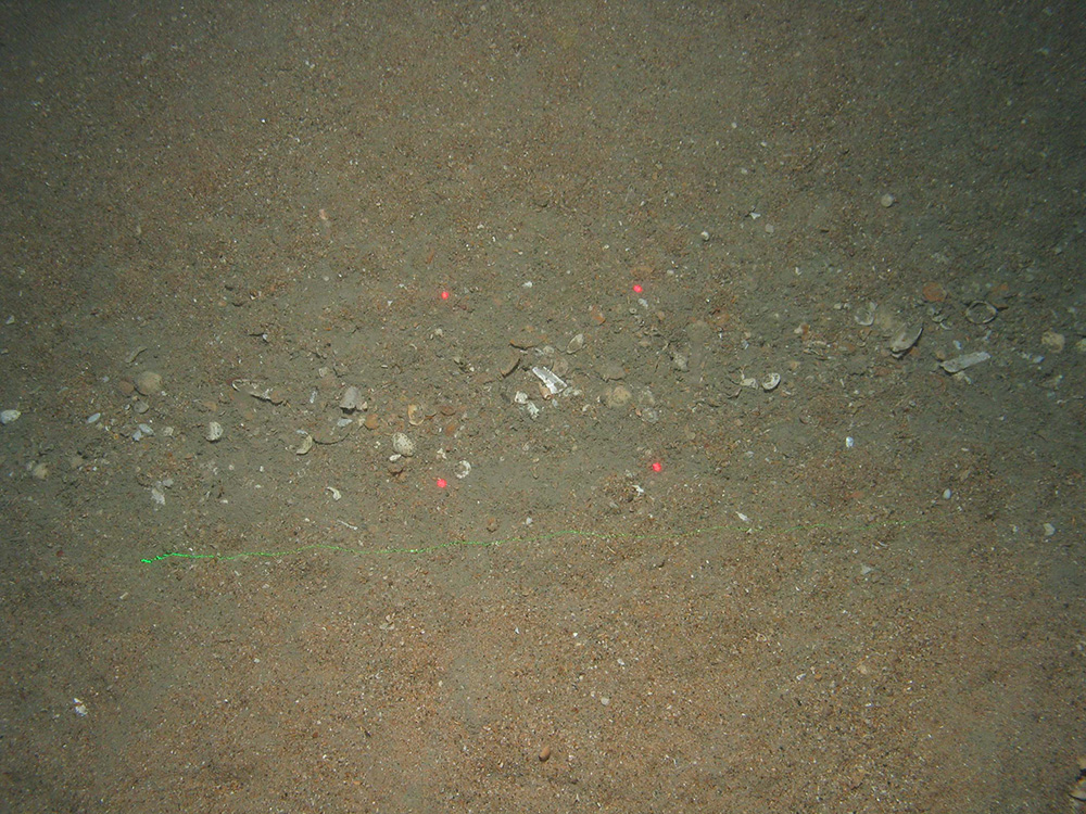 Close up of shells and subtidal sediment seabed at Greater Haig Fras MCZ (©JNCC/Cefas)