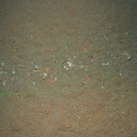 Close up of shells and subtidal sediment seabed at Greater Haig Fras MCZ (©JNCC/Cefas)