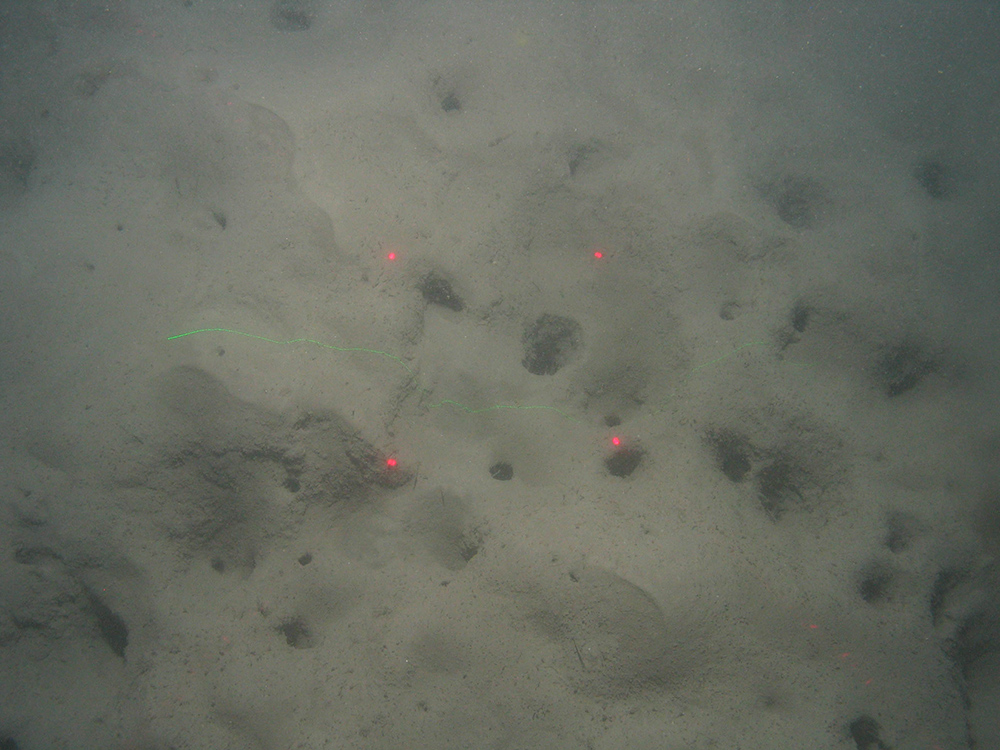 Close up of burrows in subtidal mud at Greater Haig Fras MCZ (©JNCC/Cefas) 