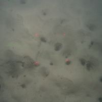 Close up of burrows in subtidal mud at Greater Haig Fras MCZ (©JNCC/Cefas) 