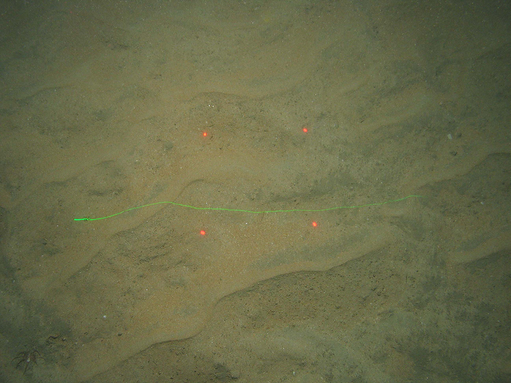 Close up of fine rippled sand with minimal shell debris at Greater Haig Fras MCZ with a burrowing anemone (Mesacmaea mitchelli) (©JNCC/Cefas)