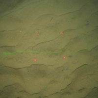 Close up of fine rippled sand with minimal shell debris and evidence of burrowing worms at Greater Haig Fras MCZ (©JNCC/Cefas) 