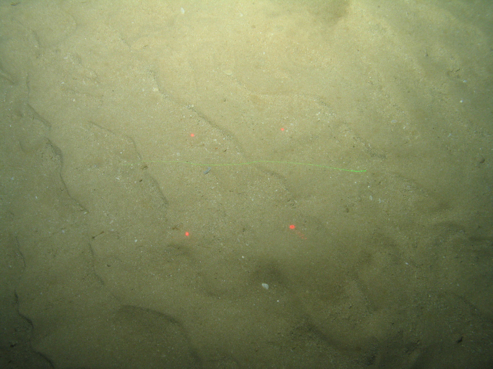 Close-up of the seabed at the South of the Isles of Scilly MCZ, showing ripples in the Subtidal sand
