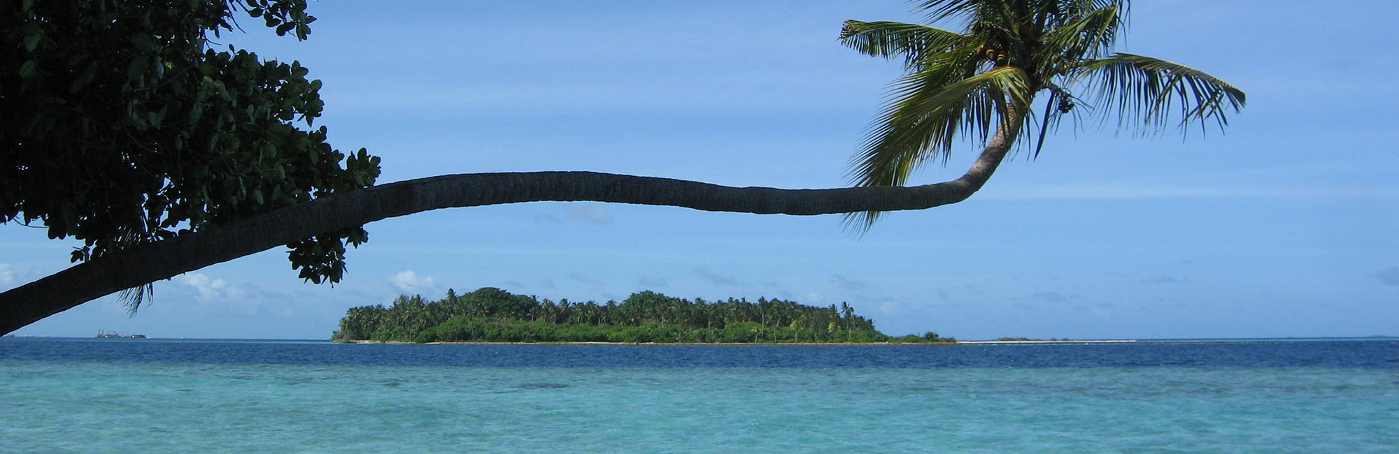 JNCC to play a pivotal role in Government scale-up to protect the global ocean