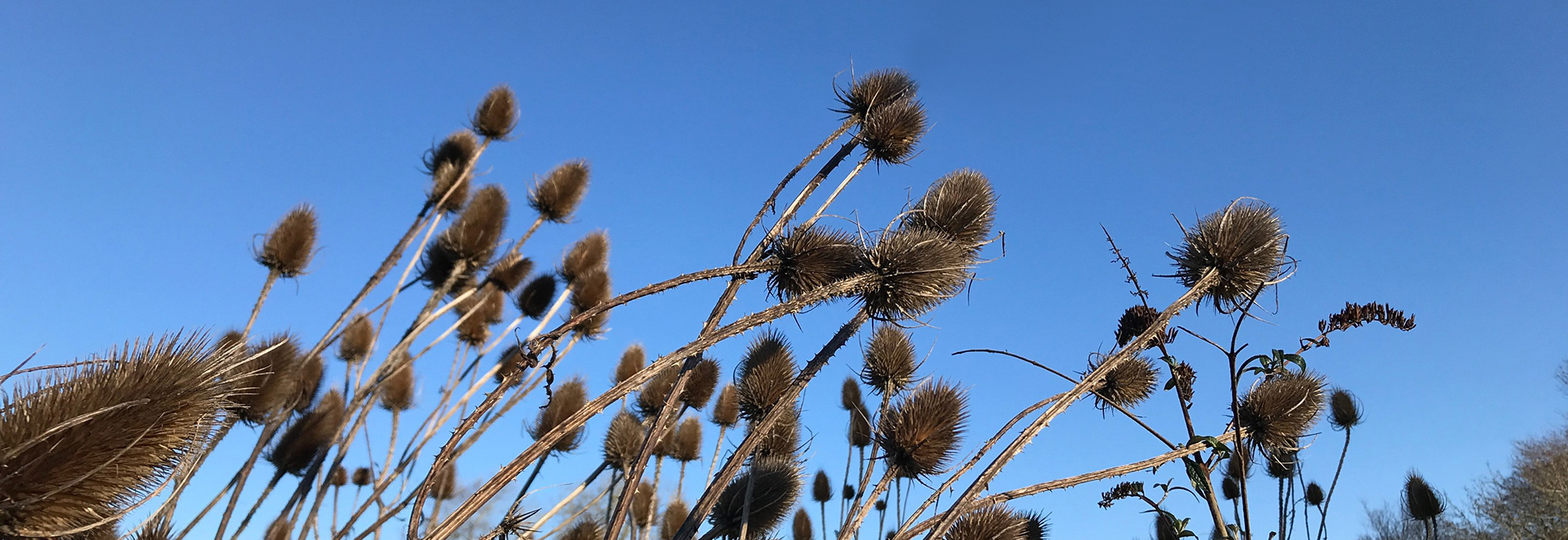 New Joint Committee Members appointed 