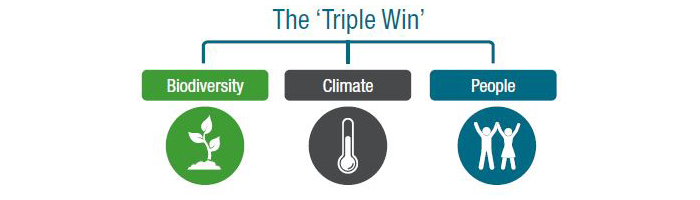 Diagram of the 'Triple Win', showing the three elements of biodiversity, climate and people