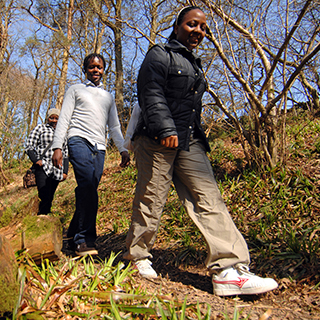 Photo of three people working through some trees (© NatureScot/Dougie Barnett)