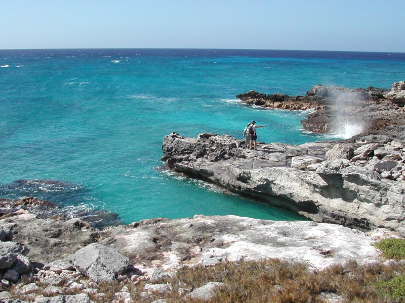 Grey coastal rocks and lapping waves with person standing on rocks pointing (Copyright: Brian Riggs, DECR)