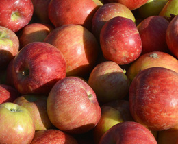 Untangling the global impacts of UK consumption