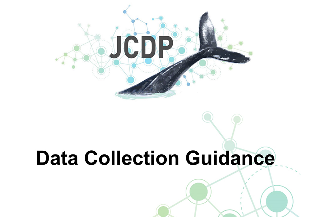 Screenshot of the cover of the JCDP Data Collection Guidance
