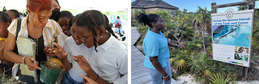 Two photos. On the left is a photo of a woman showing two school children a cactus in a pot at an event. On the left is a photo of a person standing next to an information board for saving the Iguana islands.