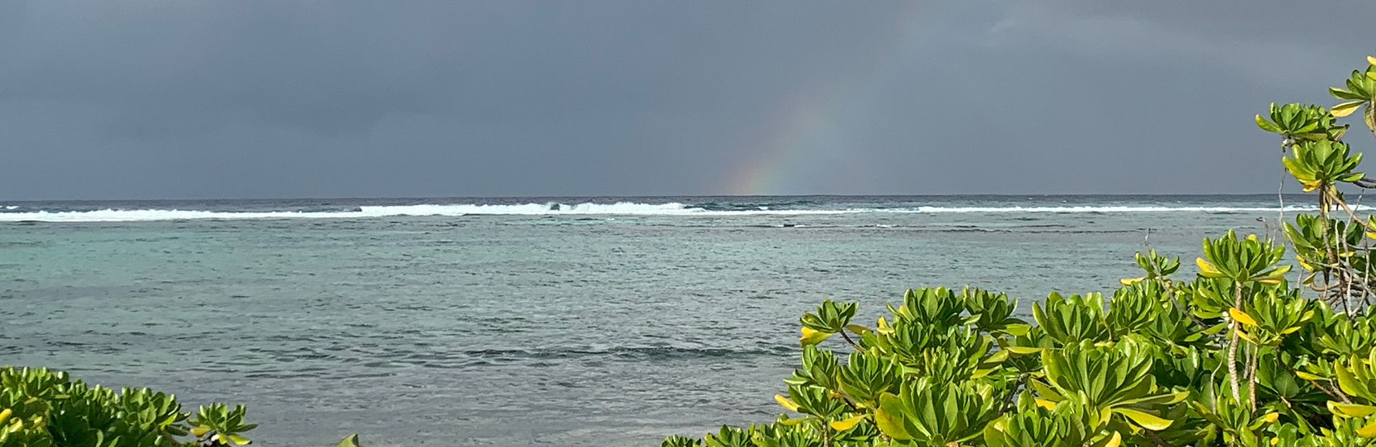 Mapping partnership in Cayman Islands demonstrates nature’s role in coastal resilience