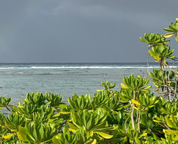Mapping partnership in Cayman Islands demonstrates nature’s role in coastal resilience