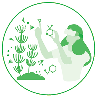 Icon for the value of innovation