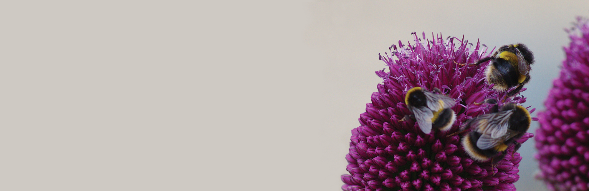 Together for Nature – for nature, people and the planet