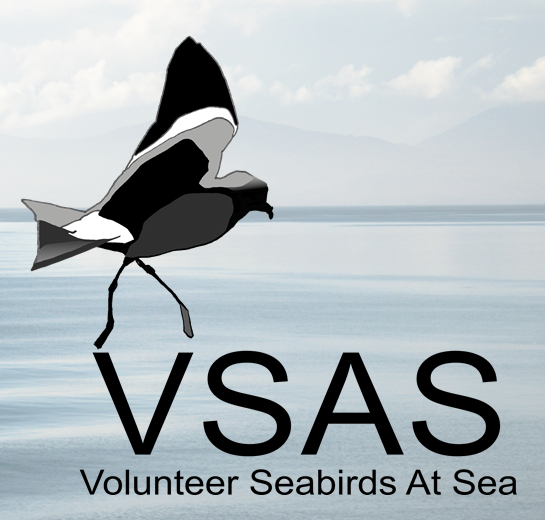 VSAS Logo
