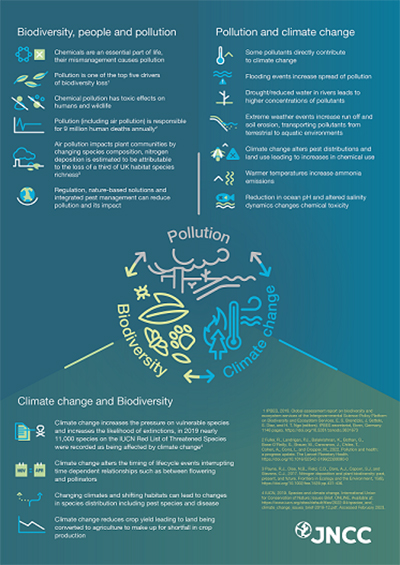 Pollution, Biodiversity and Climate Change infographic, showing how the three are linked and impact the environment