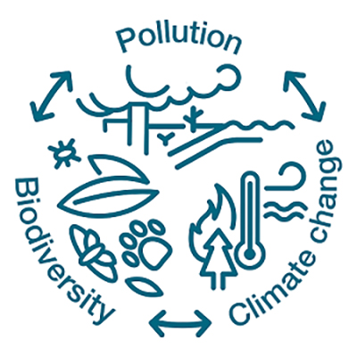 A logo illustrating the triple planetary crisis of pollution, biodiversity and climate change with arrows indicating they are all linked