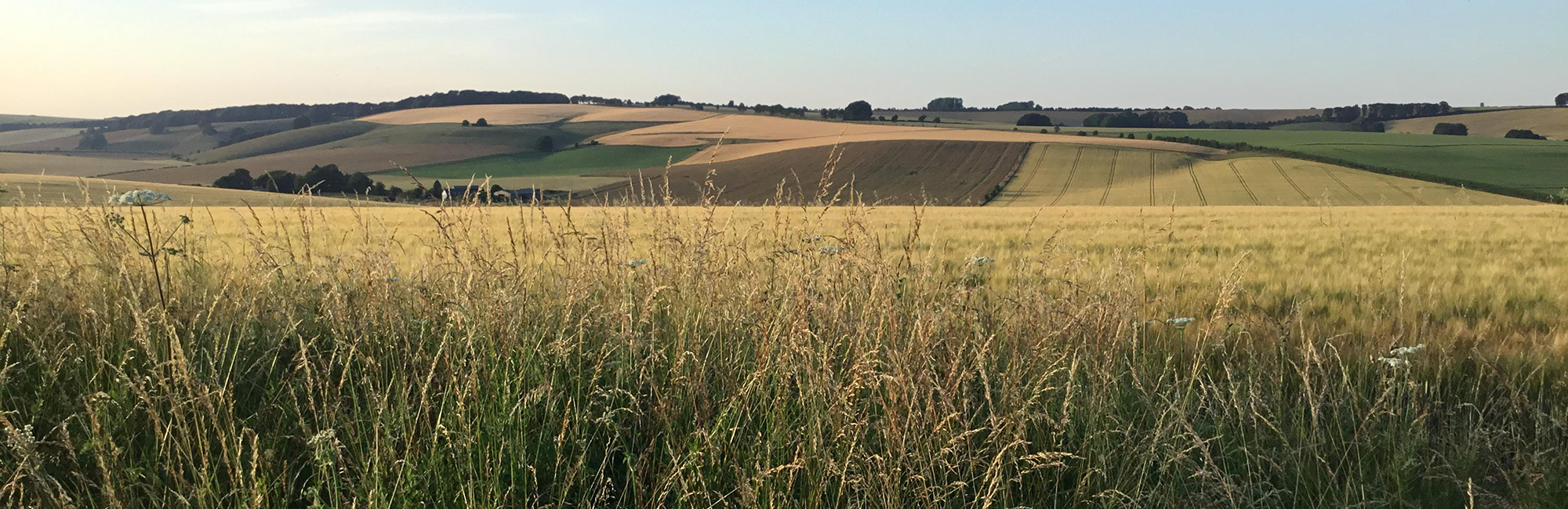 New report summarises review of the UK Biodiversity Indicators