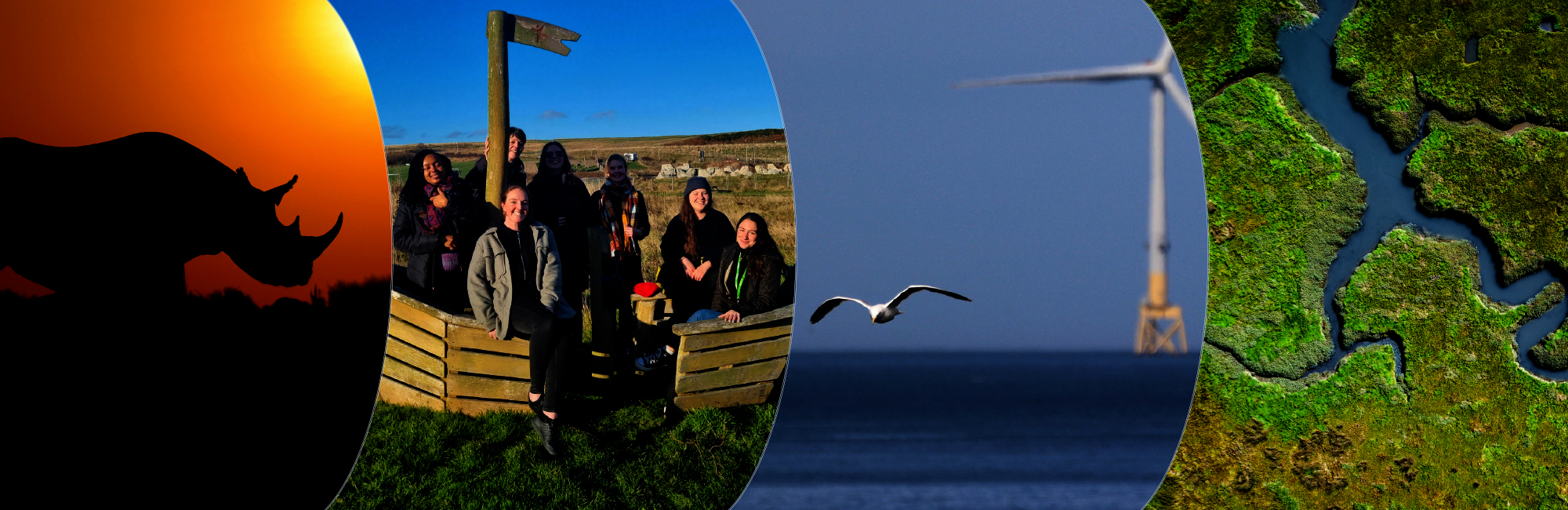 Impact Review 2023 to 2024