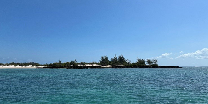 Image of Mozambique coastline as viewed from water