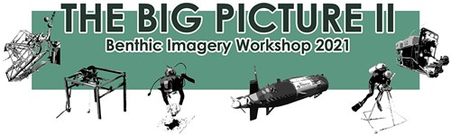 Logo for The Big Picture II Workshop in 2021