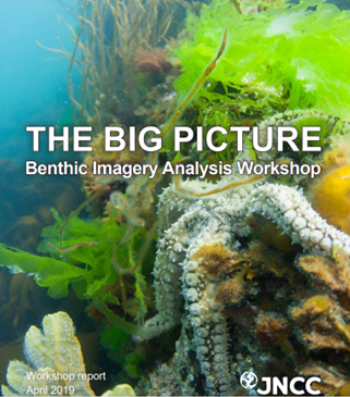 Picture of the frontpage of the Big Picture Benthic Imagery Analysis Workshop Report for 2019.