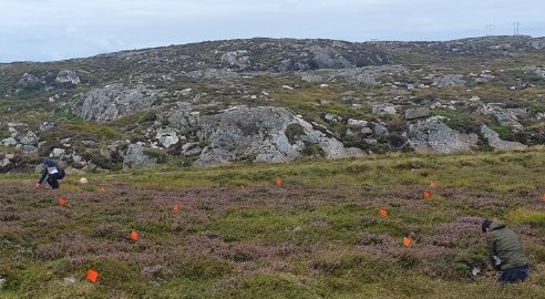 ©Kew Experimental plot markers on a heathland in Norway