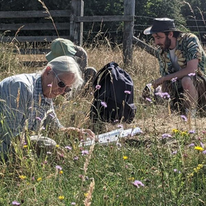 People surveying © Nick Marriner