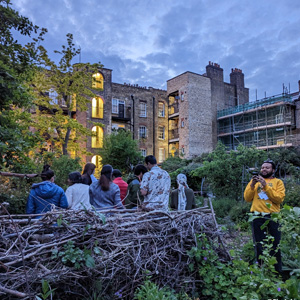 Attendees sunset survey © Ele Johnstone