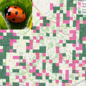 Cropped section of the targeting revisits map for ladybird