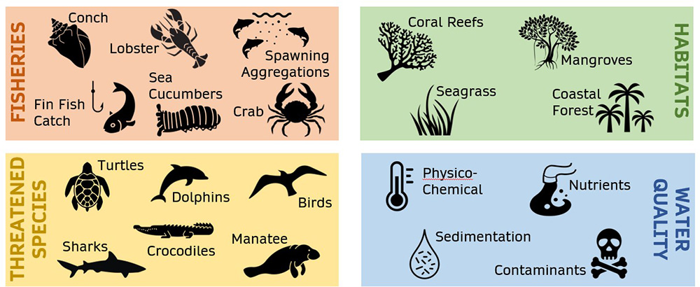 Schematic image showing fisheries, habitats, threatened species and water quality