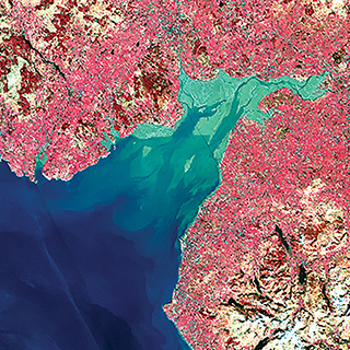 sentinel-2-crop-web-320-320.jpg