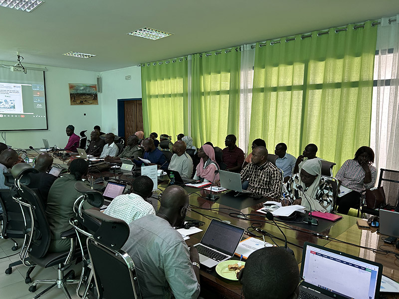 Validation Workshop ©Holly Baigent