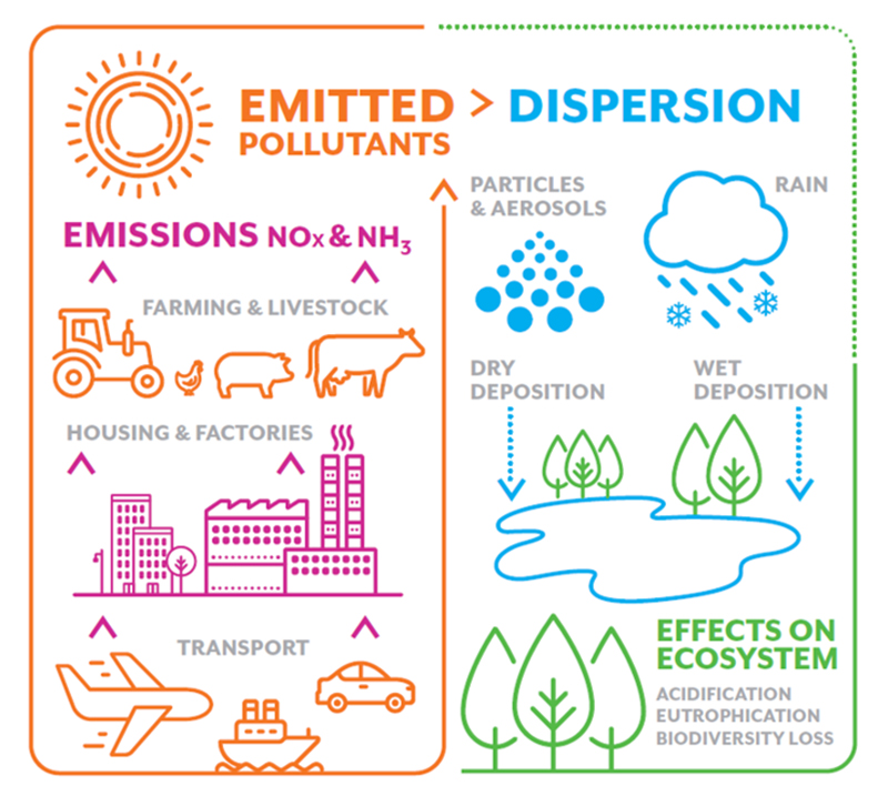 Nitrogen Emissions Infographic