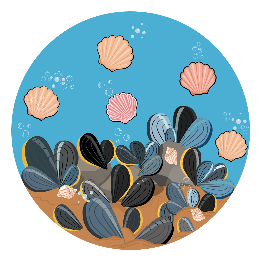 Horse Mussels 2